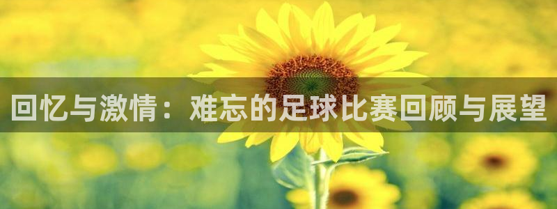 回忆与激情：难忘的足球比赛回顾与展望